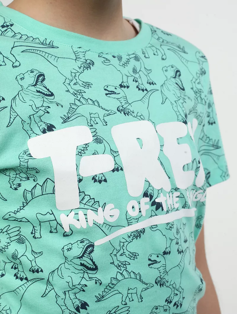 T-shirt motifs graphiques garçon